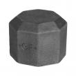Obr. 300 - Cap