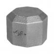 Obr. 300 - Cap