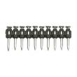 Klince Standard TKA