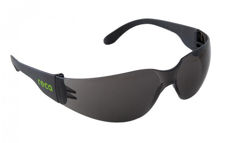 Schutzbrille RECA EX 101 grau