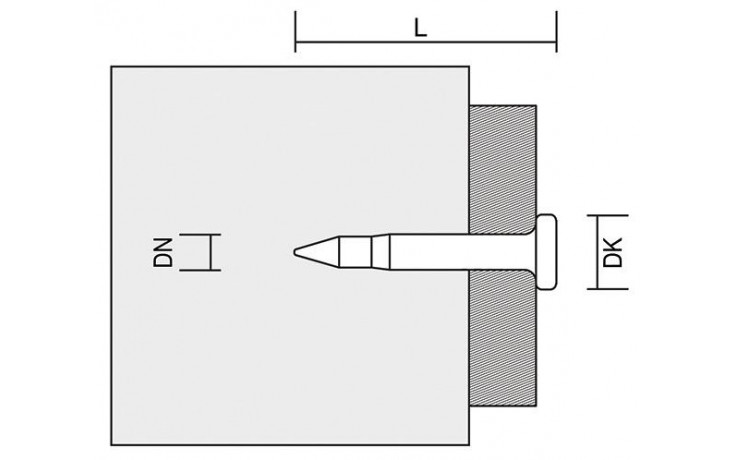 Standard Nägel TKA 2,6x40 mm ohne Gas