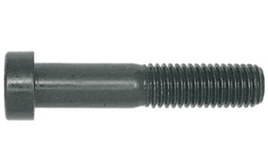 Zylinderschraube DIN 6912 - 08.8 - blank - M10 X 140