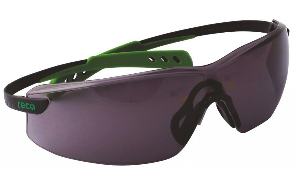 Schutzbrille RX 207, grau