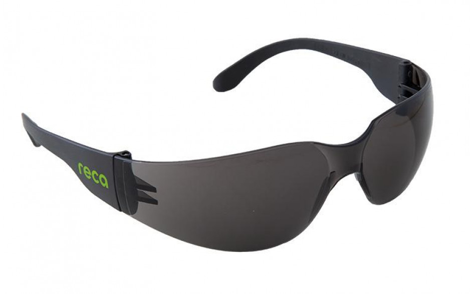 Schutzbrille RECA EX 101 grau