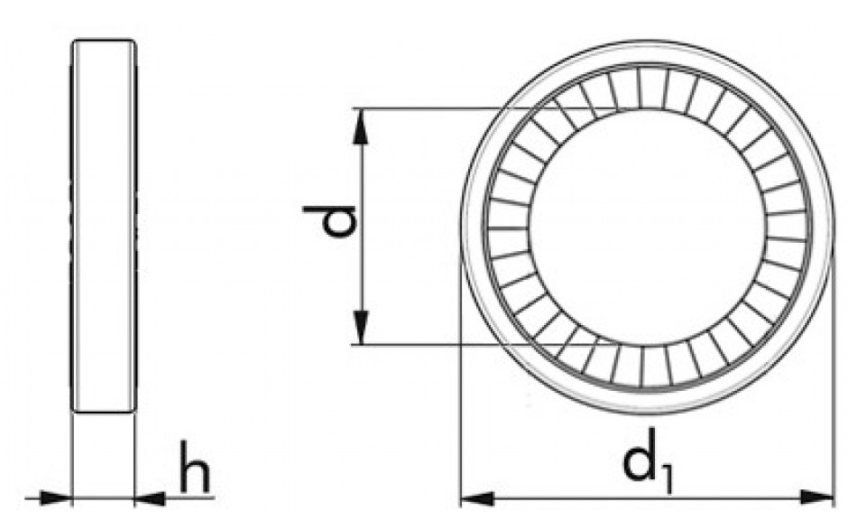 Ringsicherungsscheibe - A4 - M16 - breite Ausführung