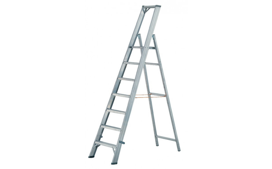 Plattformleiter aus Aluminium, Sprossen: 10, Höhe m: 3,15