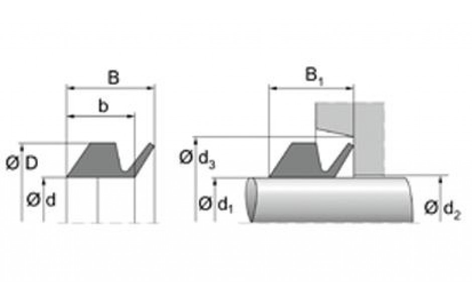V-RING-FKM60-VS150 (135,00X149,00X18,00)