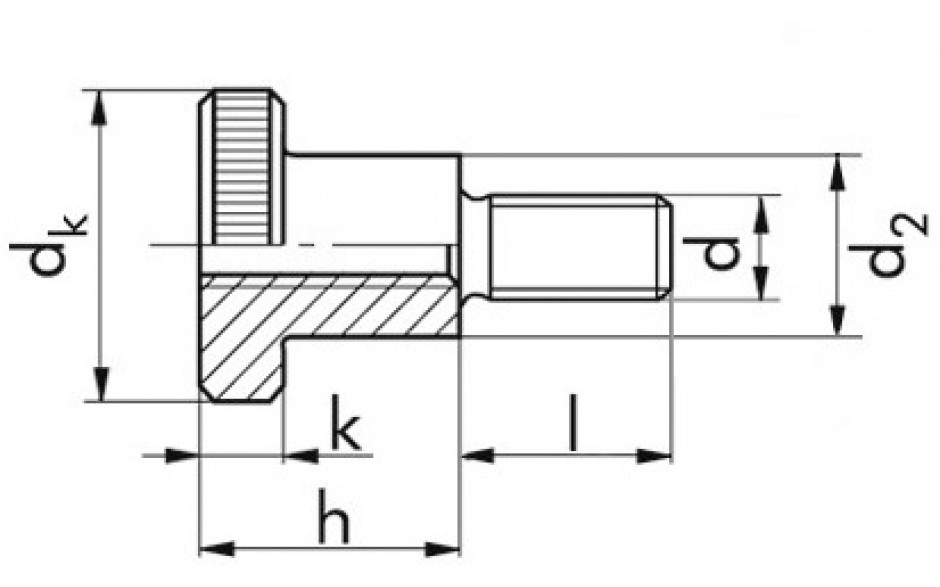 Rändelschraube DIN 464 - 5.8 - blank - M5 X 10