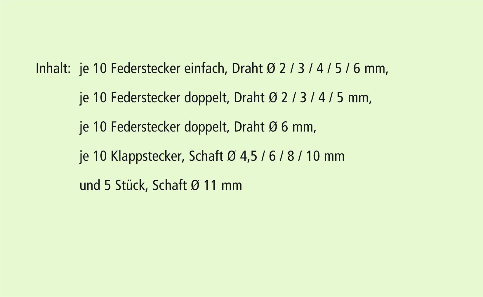 RECA Sortimentstafel - Klapp- & Federstecker - 145-teilig